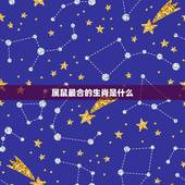 属鼠最合的生肖是什么，96年属鼠更佳结婚年龄