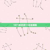 1971年农历11出生婚配，1971年1月11日出生男和1994年12