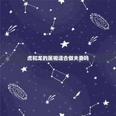 虎和龙的属相适合做夫妻吗，虎和龙在一起对谁不利