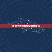酉时出生的牛宝宝男孩命运，属牛人出生最差的时辰