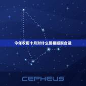 今年农历十月对什么属相搬家合适，属鼠的今年农历十月哪天搬家好
