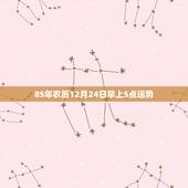 85年农历12月24日早上5点运势