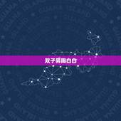 双子男陶白白，陶白白什么梗？