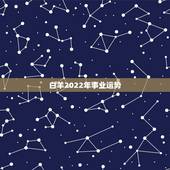 白羊2022年事业运势，2021年白羊座下半年运势