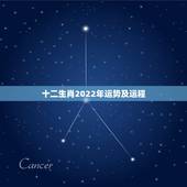 十二生肖2022年运势及运程，之一运2022年12生肖每月运势