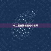 十二星座属相配对小视频，十二星座的最佳配对组合是？