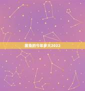 属兔的今年多大2022，2022年属什么生肖几岁