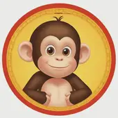 2004年属猴的五行属什么命：2004年是水猴还是木猴