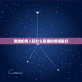 属蛇的男人跟什么属相的婚姻最好，属蛇男配什么属相好