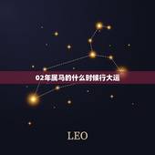 02年属马的什么时候行大运，2002年正月属马人财运
