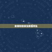 金镶和田绿玉属相吊坠，你好刚在金店买了个金镶和田玉吊坠但是没有证书会不