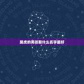 属虎的男孩取什么名字最好 爱加班工作狂是哪个星座