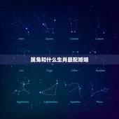 属兔和什么生肖最配婚姻，属兔的和属什么的最配婚姻