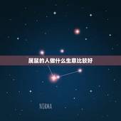 属鼠的人做什么生意比较好，84年属鼠人最穷不过36岁