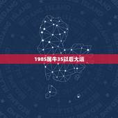 1985属牛35以后大运，属牛85年的幸运数字是多少