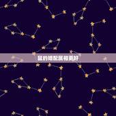 鼠的婚配属相更好，鼠的运势2022 每月运程