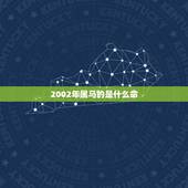 2002年属马的是什么命，2002年属马的几月出生更好