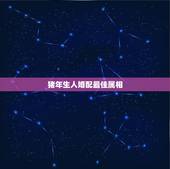 猪年生人婚配最佳属相，揭秘猪年和什么生肖最配