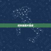 招财鱼图片壁纸，手机壁纸放什么图片最招财