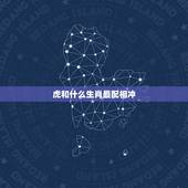虎和什么生肖最配相冲，十二生肖配对