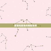 属猴和属兔的婚配怎样，属兔的和属猴的怎么样？