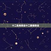 十二生肖命运十二属相命运，算一下十二生肖的命运