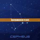 属虎和属蛇的合不合财，属蛇人和属虎人能一起合作共事吗？