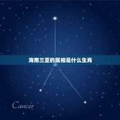 海南三亚的属相是什么生肖，三亚什么动物出名