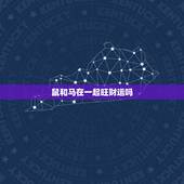 鼠和马在一起旺财运吗，属马的和属鼠的就真的不能在一起吗？