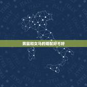 男鼠和女马的婚配好不好，男鼠女马合适吗