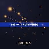 农历1991年10月初一日属相，1991年阴历十月初一生的人的命？