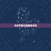 元旦节那天属相是牛吗，202321年元旦节那天属什么？