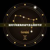 请问今年属兔的运气怎么样好不好，请问今年属兔的运气好吗