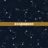 龙与马属相婚配如何，龙和马的生肖婚姻配吗