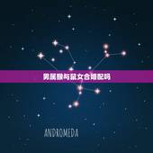 男属猴与鼠女合婚配吗，属猴和属鼠相配吗？