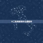 十二生肖蛇和什么最配对，属蛇的和什么生肖能配更佳