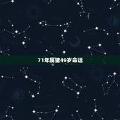 71年属猪49岁命运，71年属猪2021年运势及运程每月运程
