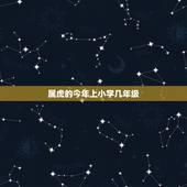 属虎的今年上小学几年级，1986年出生的，正常上小学，初中，高中，大学