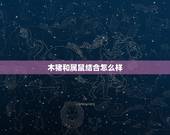 木猪和属鼠结合怎么样，男猪女鼠相配吗婚姻