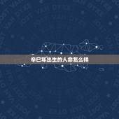 辛巳年出生的人命怎么样，辛巳年七月十六命怎么样