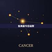生肖鼠今日运势，属鼠今年运势
