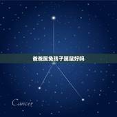 爸爸属兔孩子属鼠好吗，父亲属兔儿子属鼠相克吗