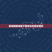 属相跟属相相不相结合的原则准吗，属狗的和什么属相和？和什么属相不和？