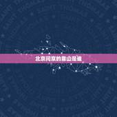 北京闫京的靠山是谁，闫京是什么人