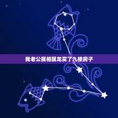 我老公属相属龙买了九楼房子，老公属马，老婆属龙，住几层的楼房风水更好？