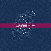 生孩清宫图2023年，清宫图2021年生男生女表怎么算