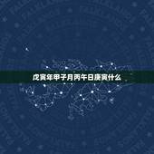 戊寅年甲子月丙午日庚寅什么，2022 年寅日是哪一天