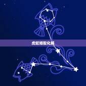 虎蛇婚配化解  属兔，虎蛇用什么生肖化解