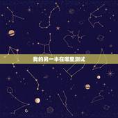我的另一半在哪里测试，想知道你自己的另一半在哪里吗？