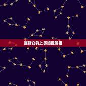 属猪女的上等婚配属相，1998年属虎的婚配表